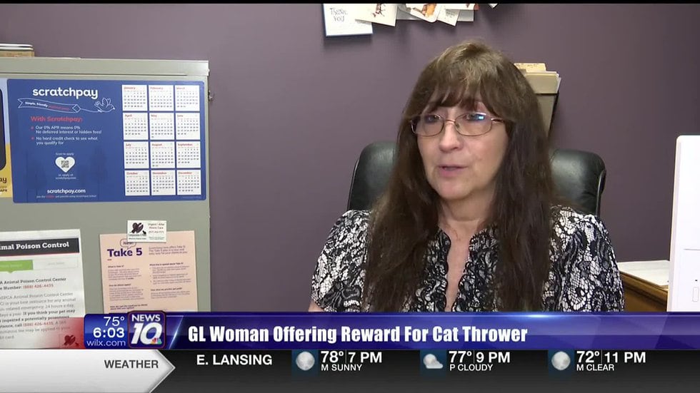 Patricia Lance says someone's been throwing kittens out of a car at busy intersections in Grand...