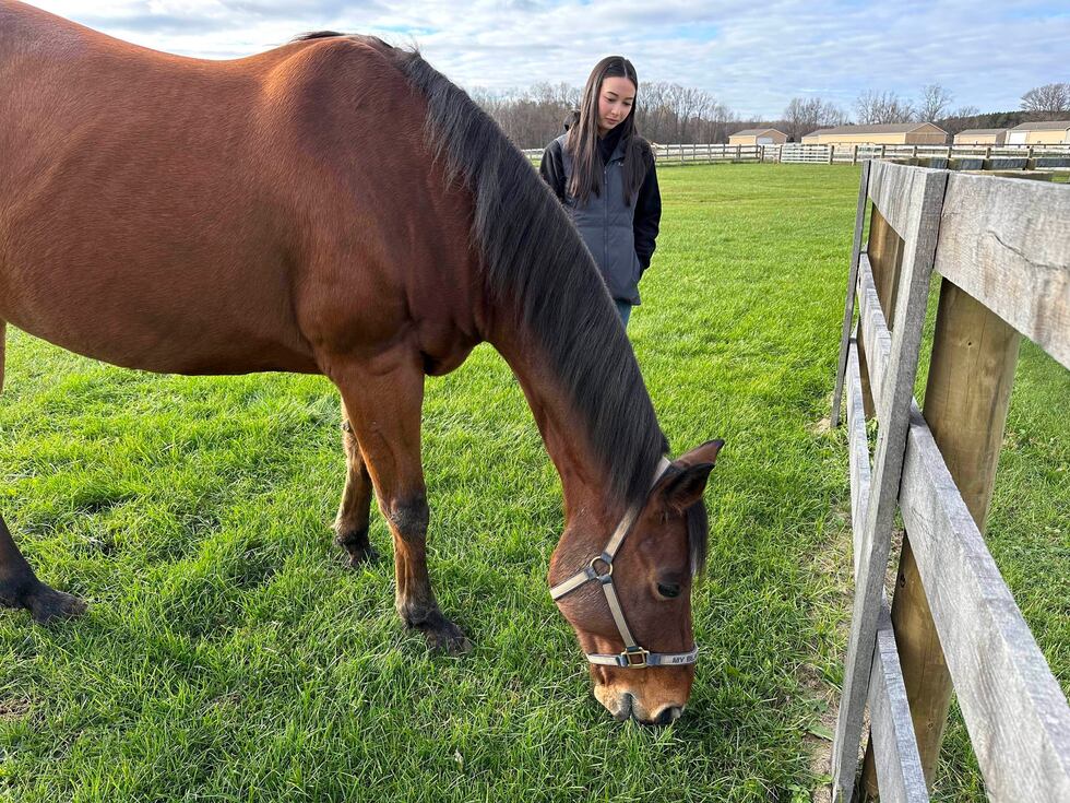 Kylie Ossege watches as her horse, Blaze, grazes in a field at a boarding facility Saturday,...