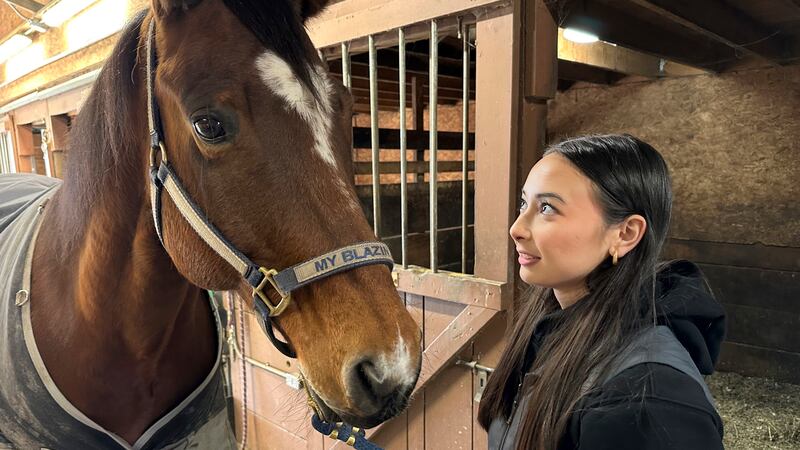 Kylie Ossege looks at her horse, Blaze, at a boarding facility Saturday, Nov. 11, 2023, in...