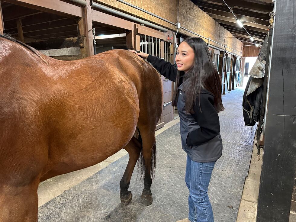Kylie Ossege uses a brush to groom her horse, Blaze, at a boarding facility Saturday, Nov. 11,...