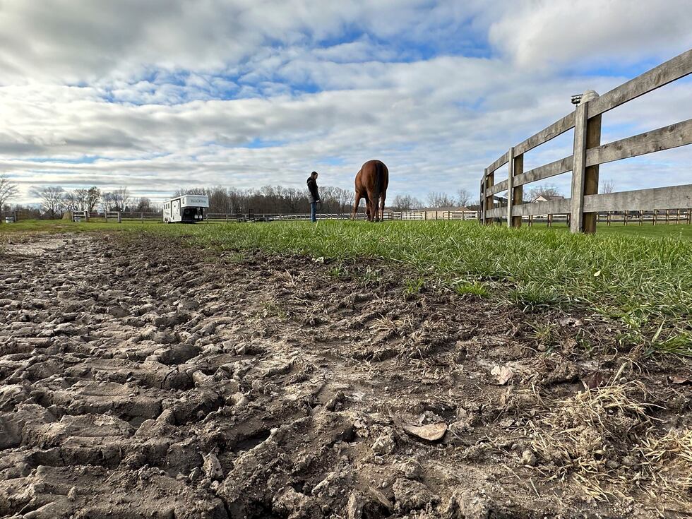 Kylie Ossege watches as her horse, Blaze, grazes in a field at a boarding facility Saturday,...