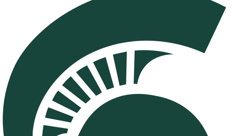 MICHIGAN STATE