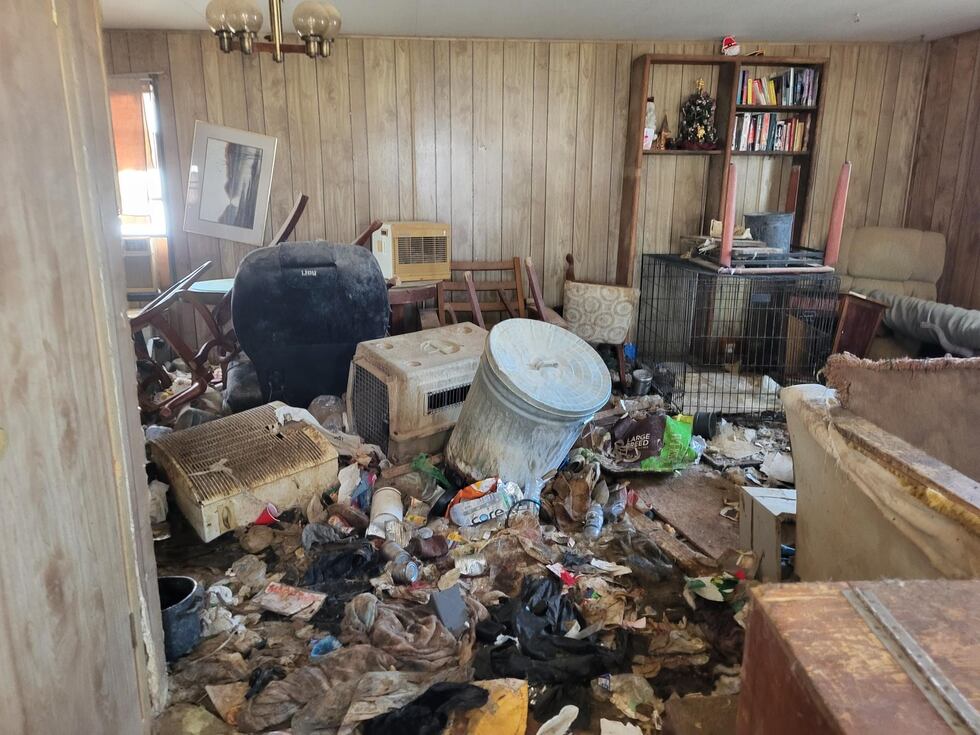 Deputies said they searched both of Fuchsel’s homes and found a total of 43 dogs on the...