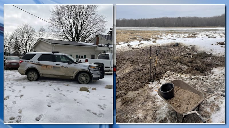 A 14-year-old horse named "Baby" was rescued from a hole on March 1, 2023.