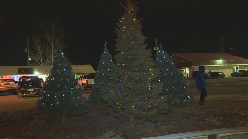 People are working to revitalize a rough area in south Lansing. (Source: WILX)