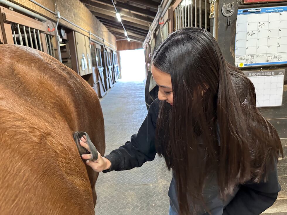 Kylie Ossege uses a brush to groom her horse, Blaze, at a boarding facility Saturday, Nov. 11,...